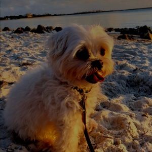 Meet your Posher, Yixsi